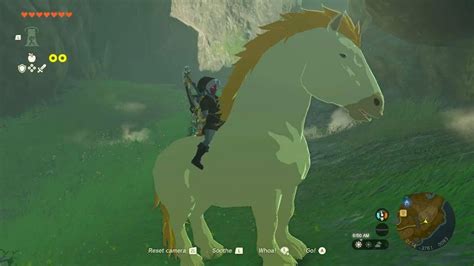 totk zelda's horse|where to find horses totk.